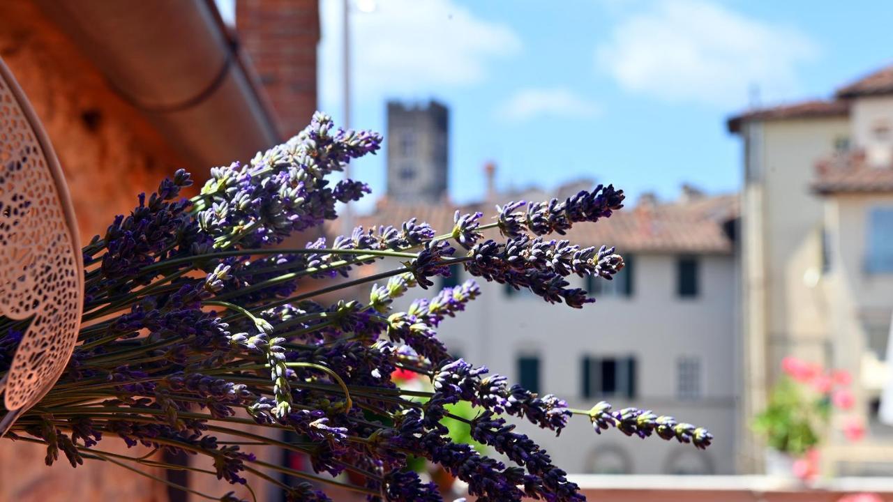 L'iris In Terrazza * Lucca
